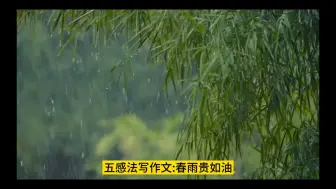 Download Video: 五感法写作文:春雨贵如油