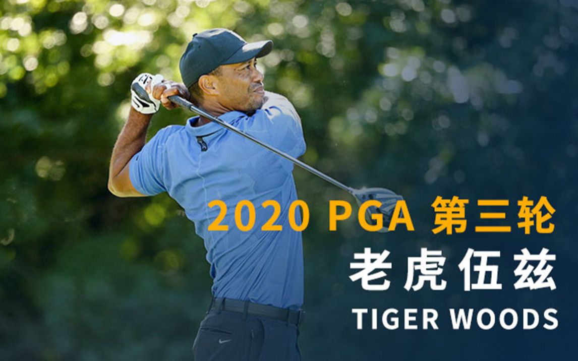 《菜鸟集锦》TIGER WOODS 老虎伍兹 2020年 北方信托基金赛 第三轮哔哩哔哩bilibili