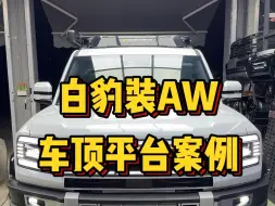 Descargar video: 白豹装AW车顶平台也很帅