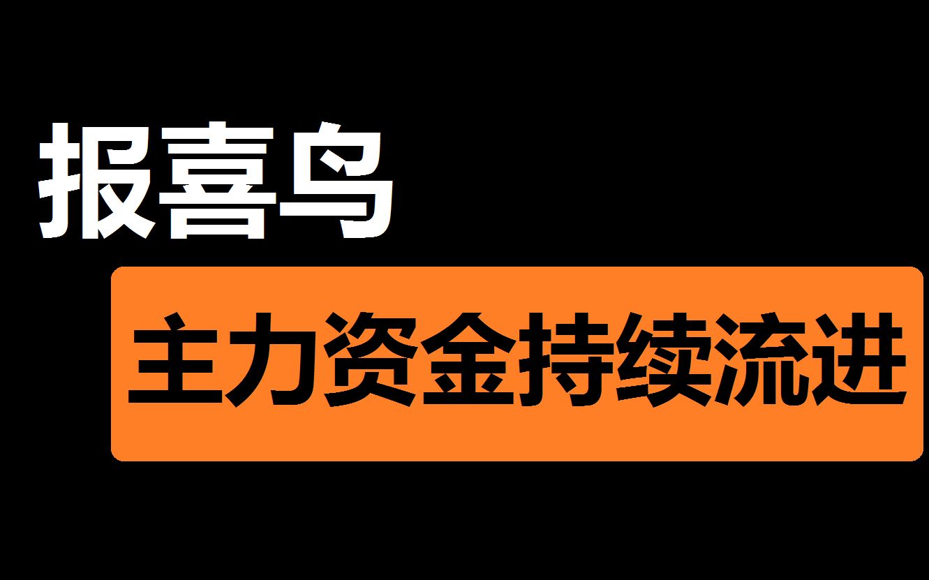 【报喜鸟】主力资金持续买进,资金量充足?哔哩哔哩bilibili