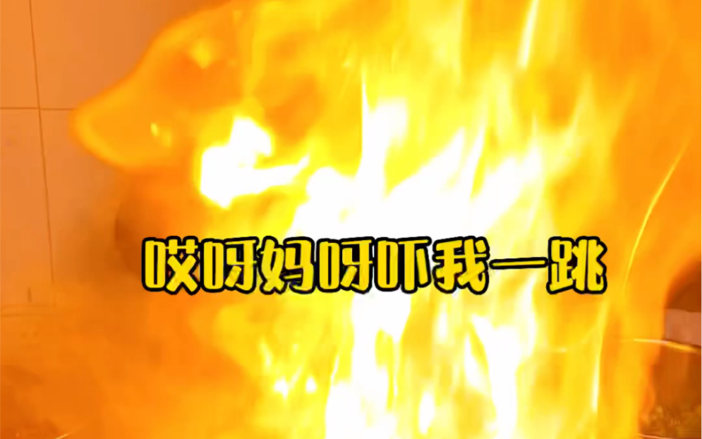 哎呀妈呀 吓我一跳