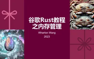 Descargar video: 谷歌Rust教程之内存管理