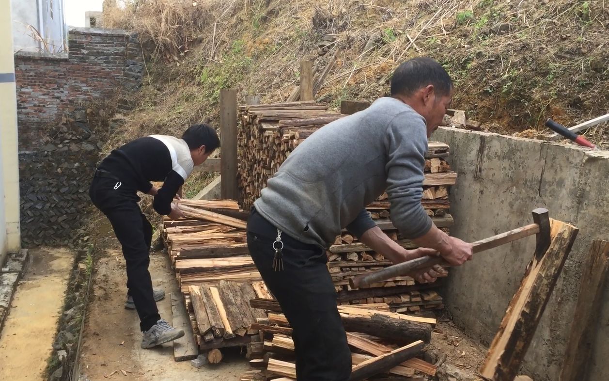 春节不拜年不串门,小伙宅在家中砍柴火,可惜了这么好的木材