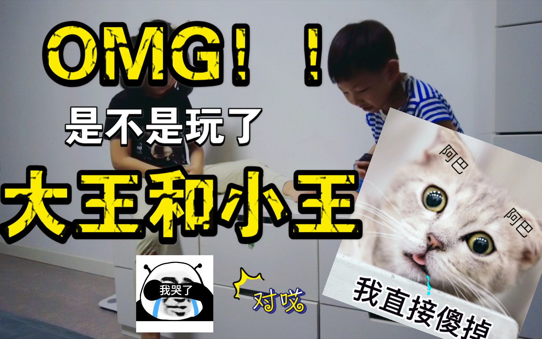 大王和小王哔哩哔哩bilibili