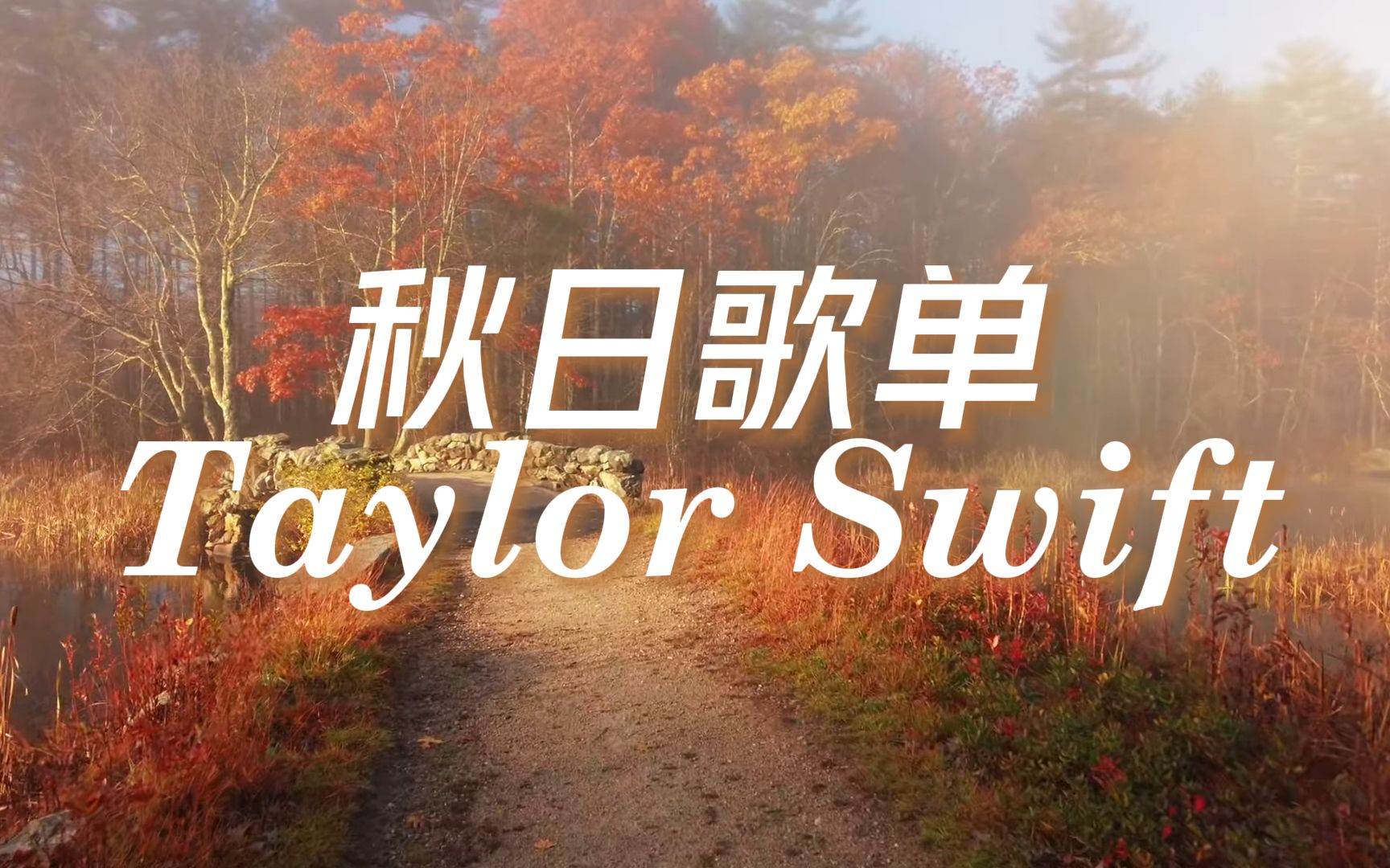 【Taylor Swift】秋日清晨在起雾的森林散步|学习|放松|治愈哔哩哔哩bilibili