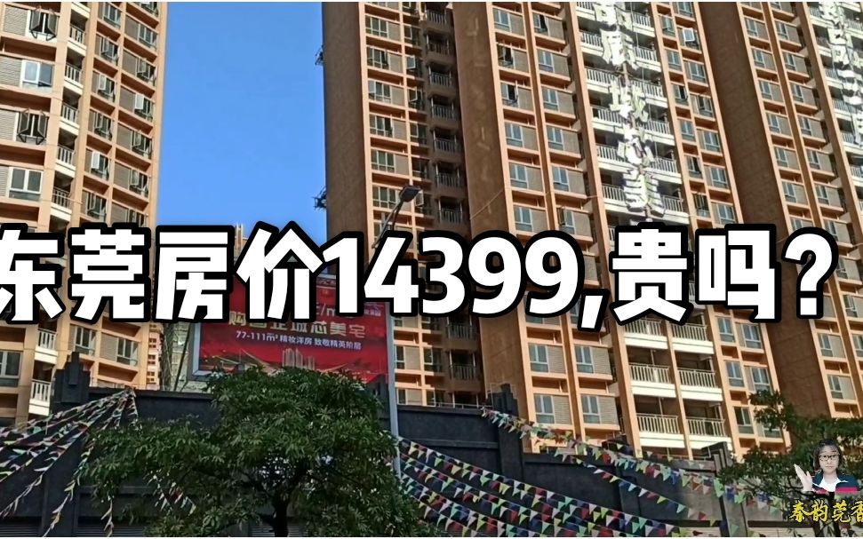 新一线城市东莞镇街真实房价,每平米14399起!这房价高吗?哔哩哔哩bilibili