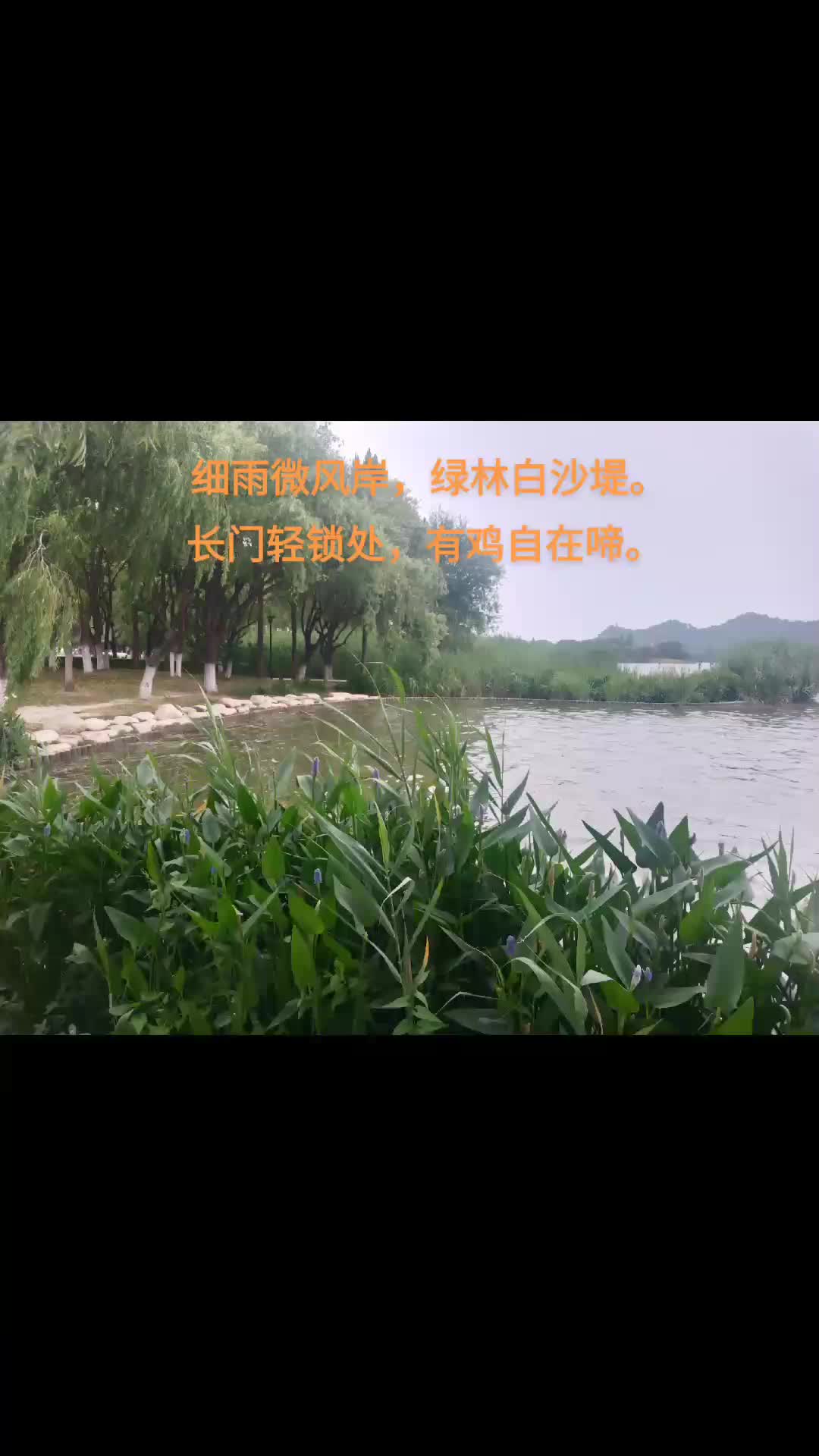 细雨微风岸,绿林白沙堤.长门轻锁处,有鸡自在啼.哔哩哔哩bilibili