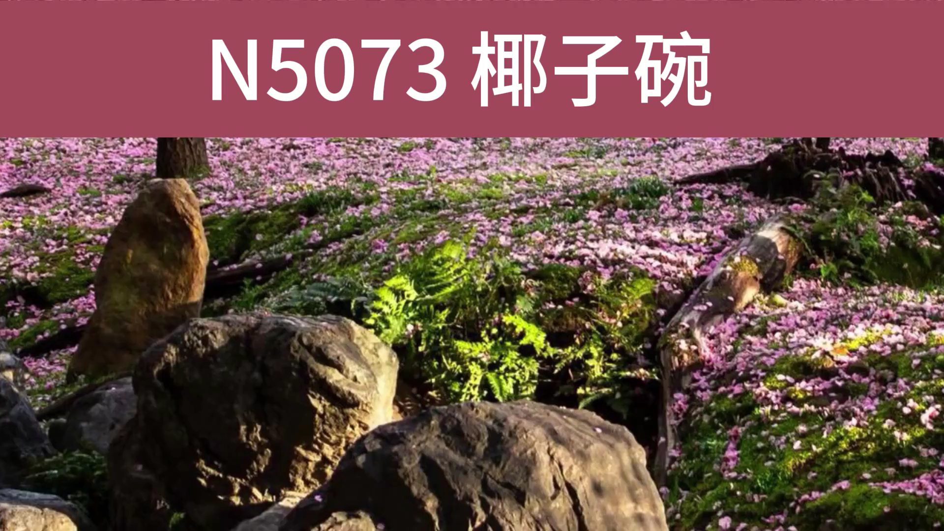 椰子碗广告录音文案,椰子碗广告词录音,椰子碗叫卖录