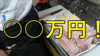 有执照才能买的5000元虎河豚 做成白子酒是什么味道 海鲜小哥金子 哔哩哔哩 Bilibili