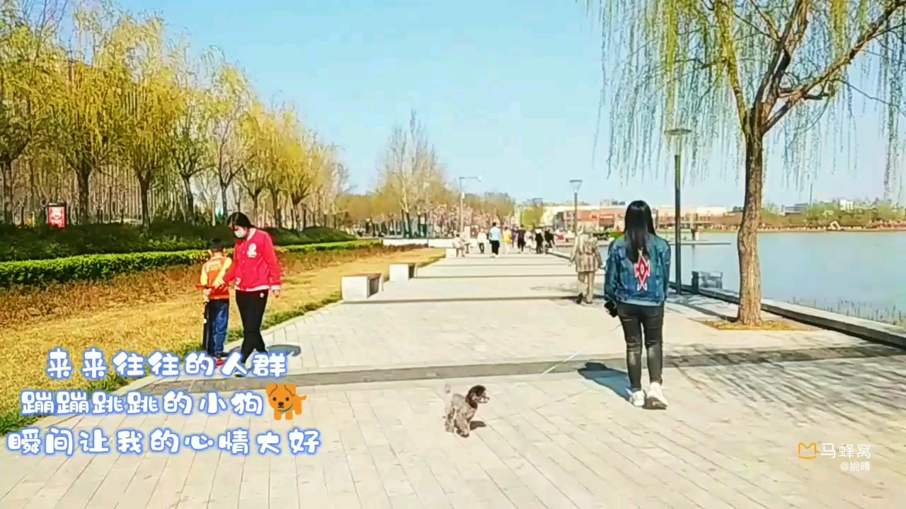 天津市东丽开发区也可以有这么美的风景哔哩哔哩bilibili