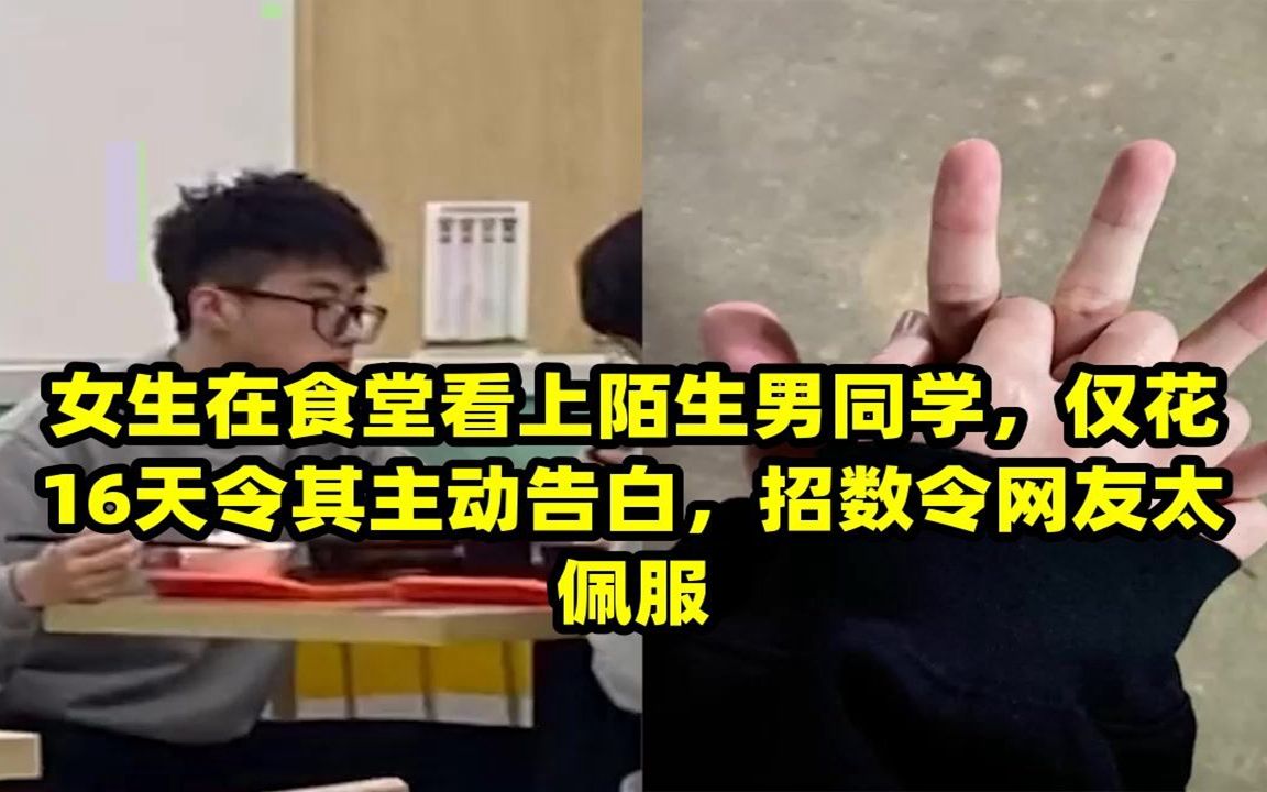 女生在食堂看上陌生男同学,仅花16天令其主动告白,招数令网友太佩服哔哩哔哩bilibili