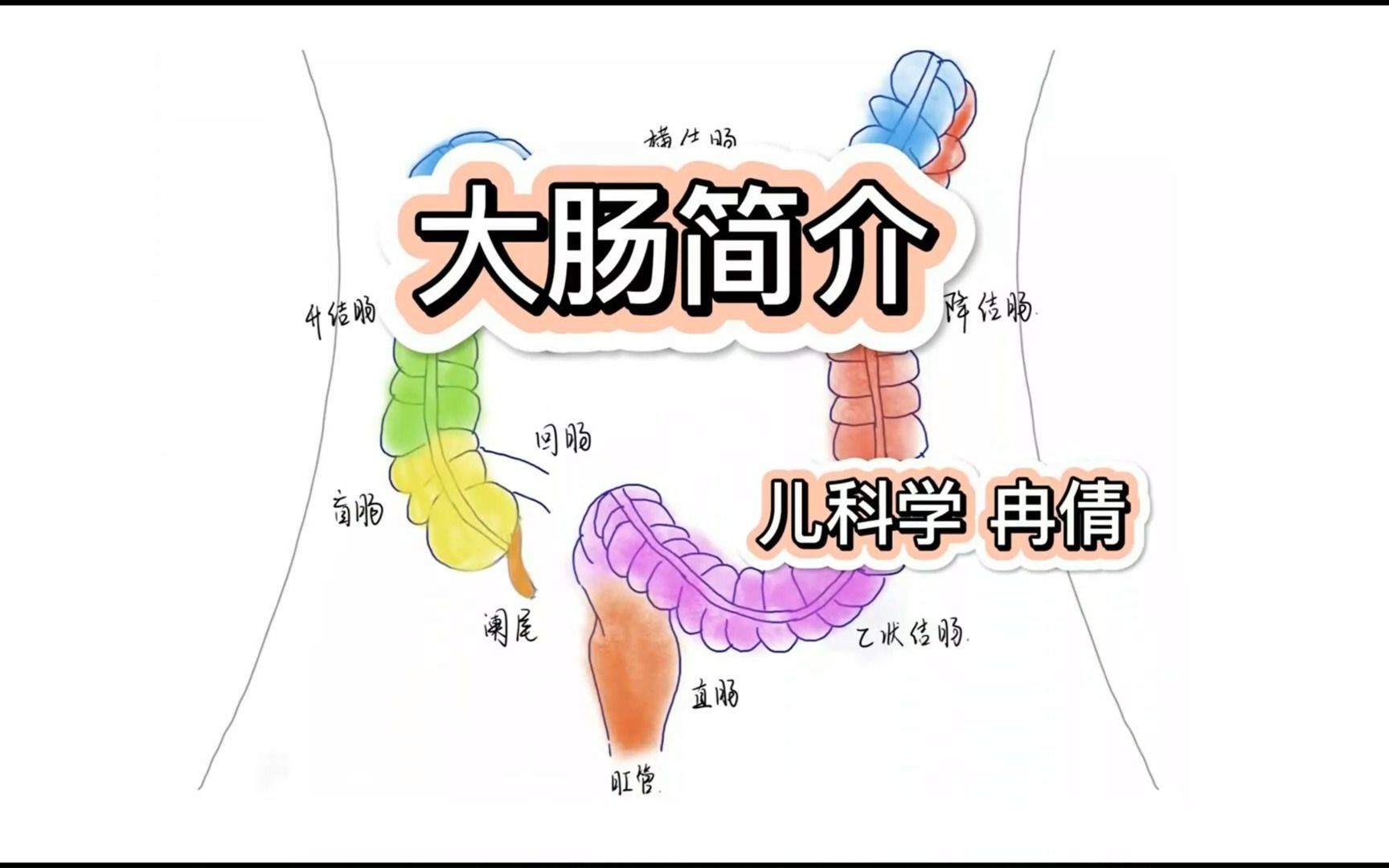 [图]大肠简介 冉倩