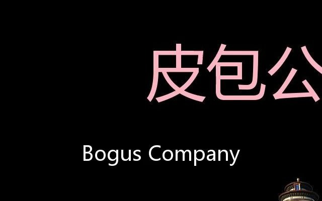 皮包公司 Chinese Pronunciation Bogus Company哔哩哔哩bilibili