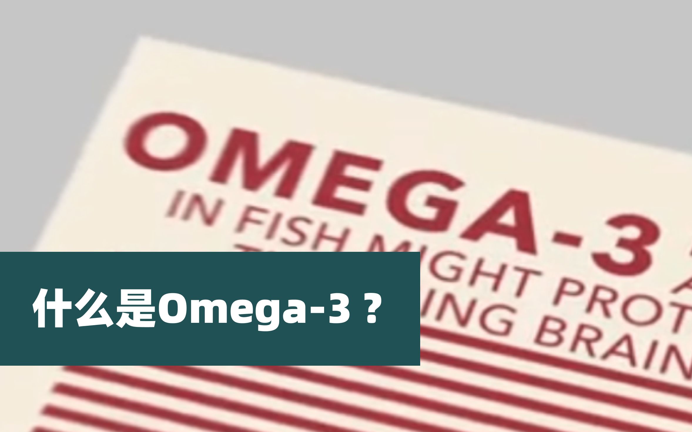 什么是Omega3?哔哩哔哩bilibili