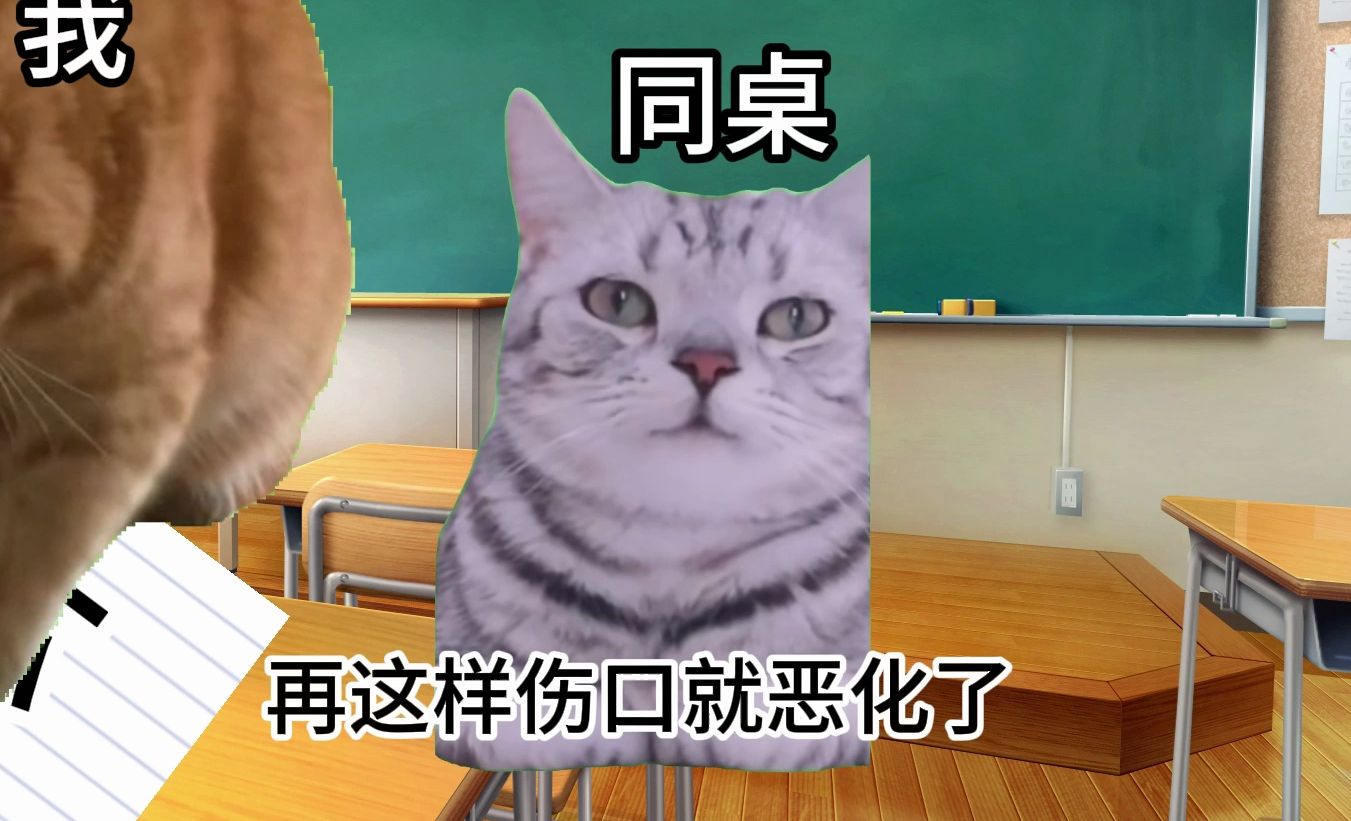 【猫meme】小学撞了同桌胳膊一下于是被索赔一百块的故事哔哩哔哩bilibili