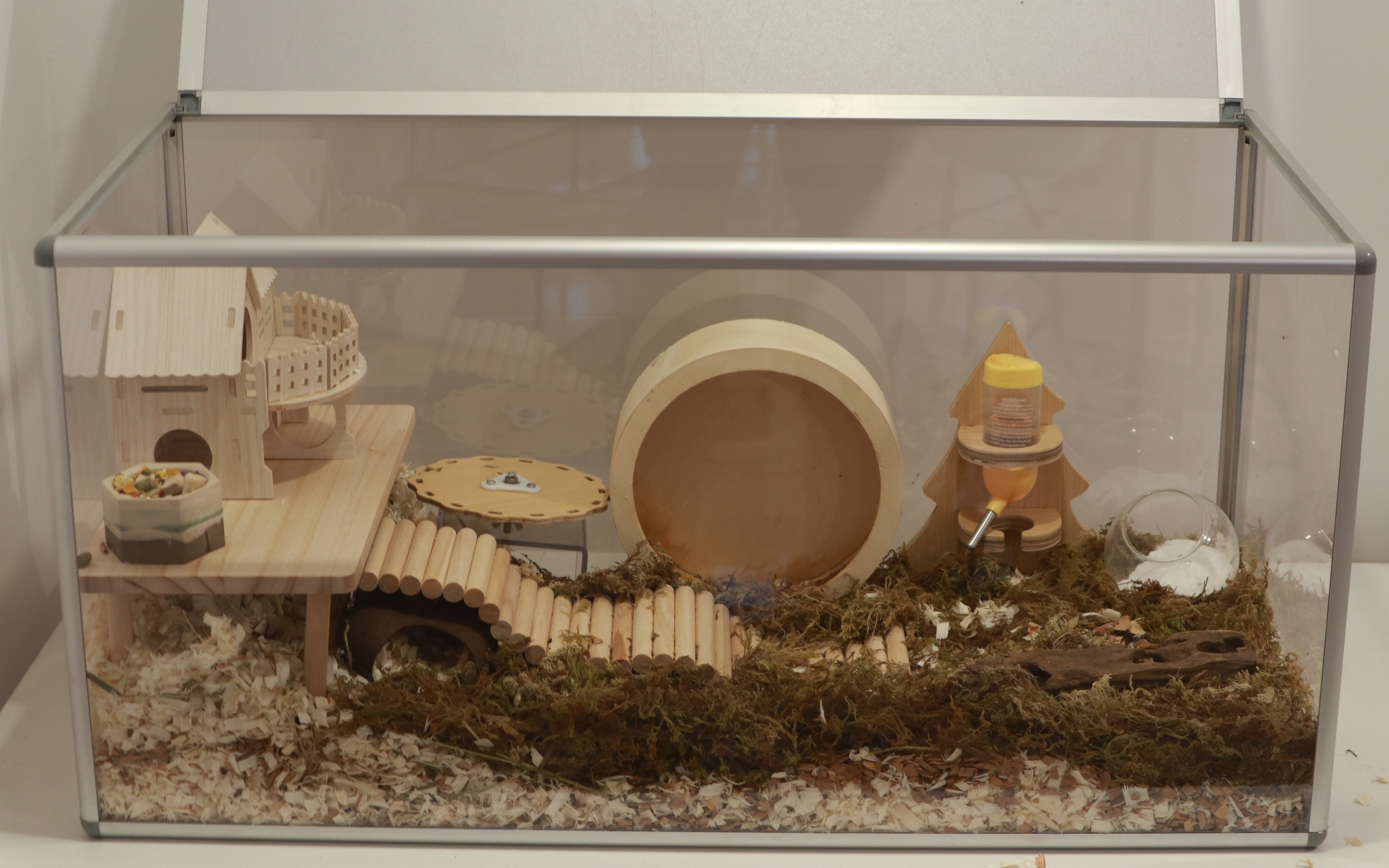 夏天给仓鼠一个新家造景