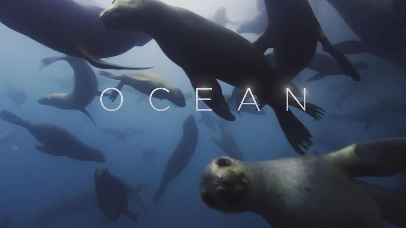 bbc 地球脉动3 第二集 海洋世界 行星地球3 planet earth iii