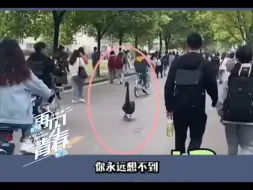 Télécharger la video: 农大里的任何东西，不论生死，都别碰！    #农业大学毕业生