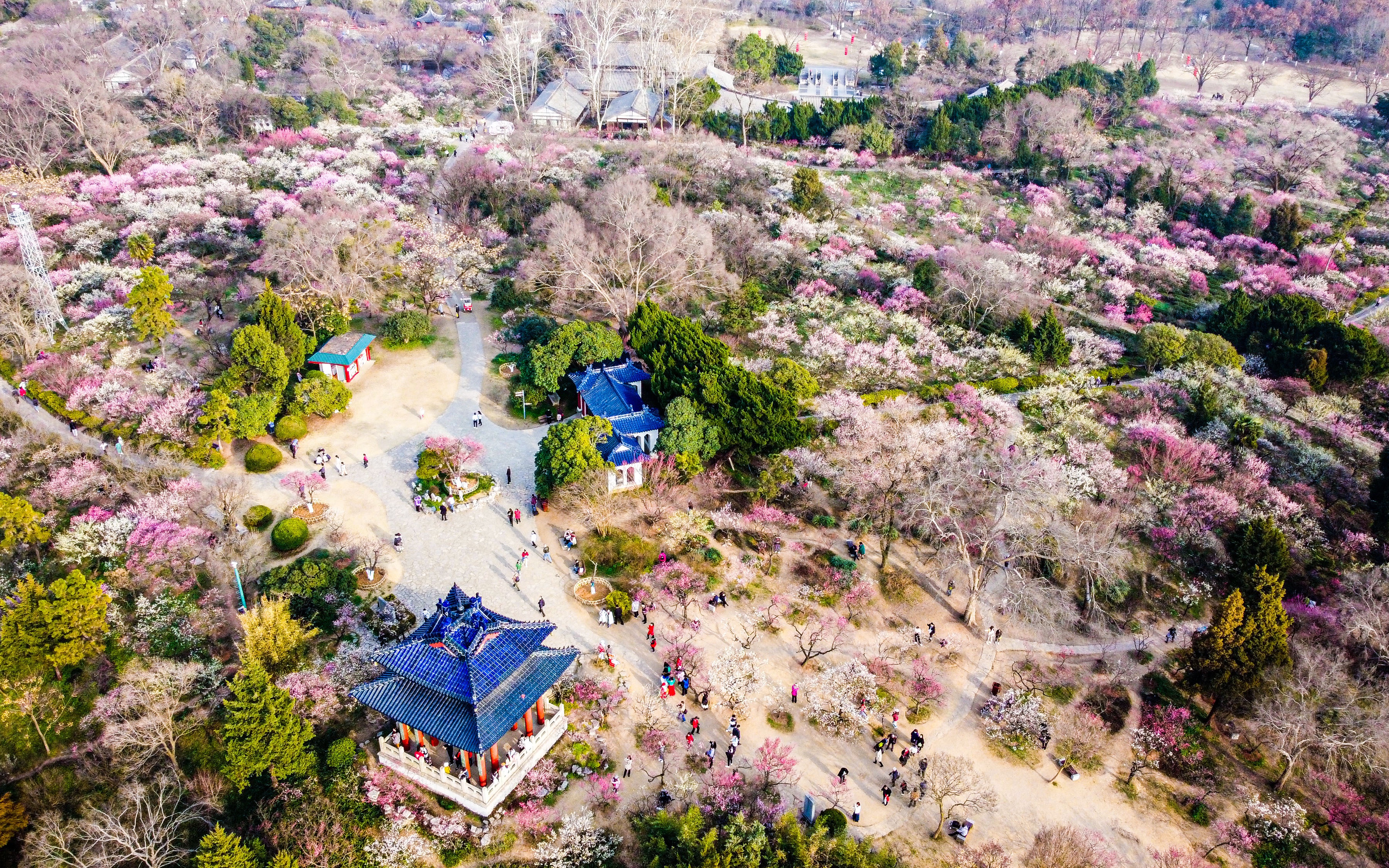 一段南京明孝陵梅花山航拍_哔哩哔哩_bilibili