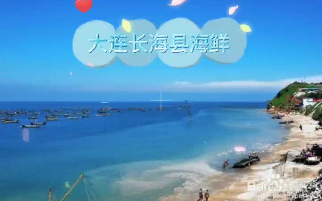 大连长海县海鲜推荐,还吃有营养!哔哩哔哩bilibili