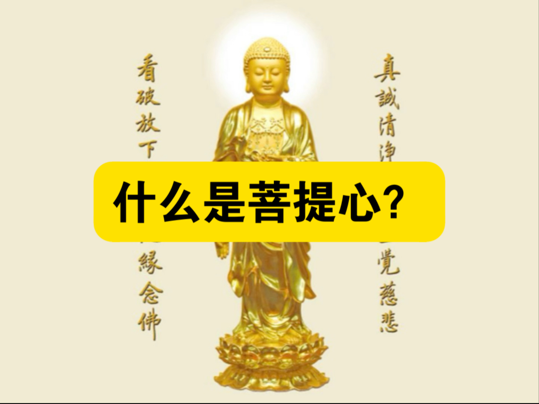 什么是菩提心?