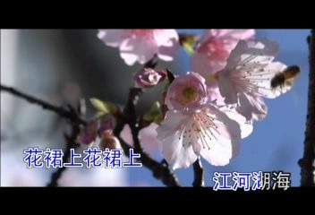 [图]绝版 贵州风情歌曲两首 龚琳娜 《我爱贵州》《苗女绣花》