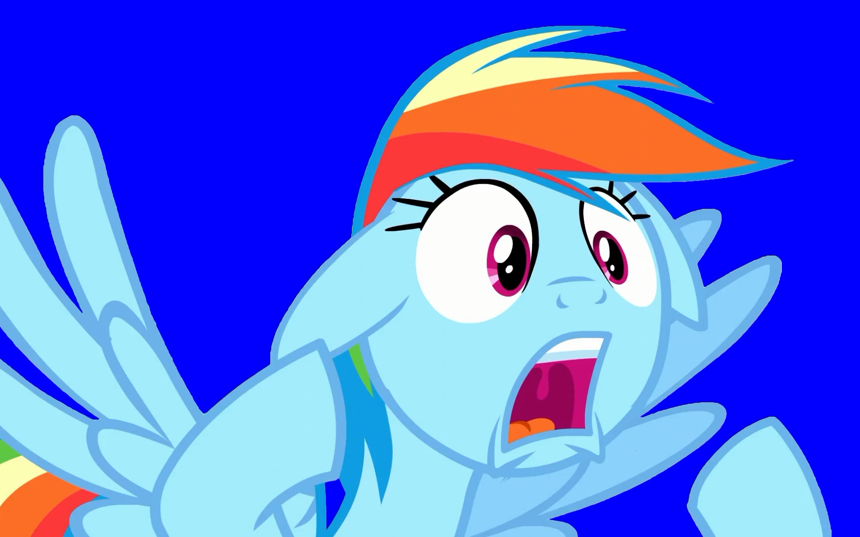 因小花吹笛而痛苦万分的云宝.bb