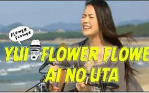 Flower Flower Powerful 哔哩哔哩 Bilibili