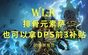 Download Video: WLK 排骨元素萨 也可以拿DPS前3补贴