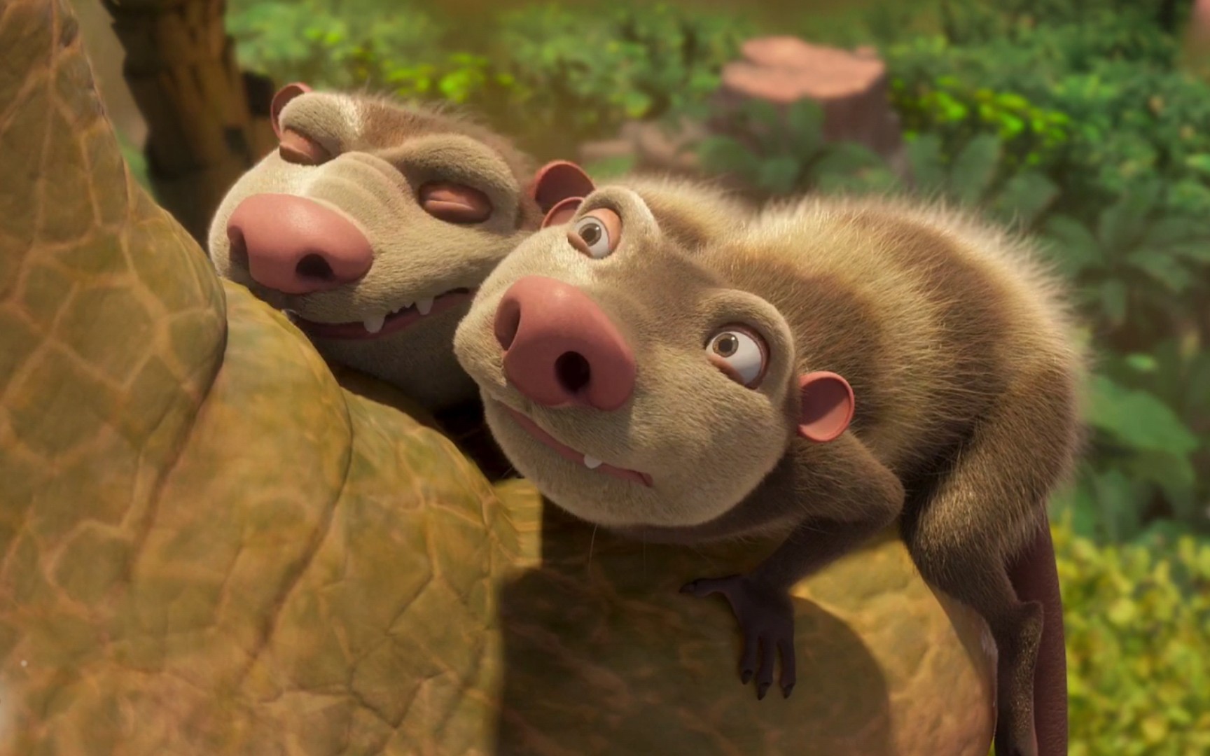 冰川时代巴克61怀尔德的冒险之旅07