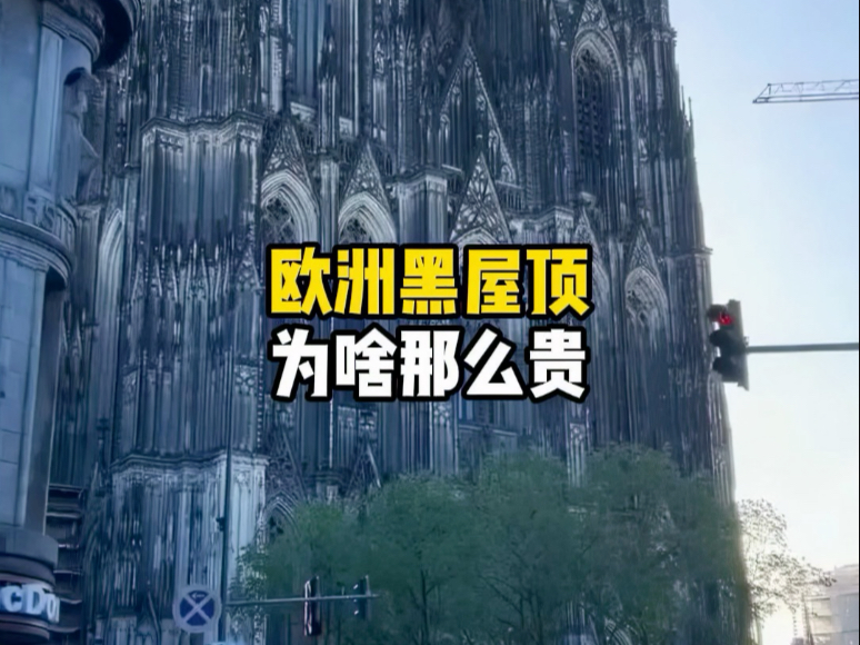 破烂的石头片子，凭啥成了昂贵的黑屋顶？#板岩 #黑屋顶