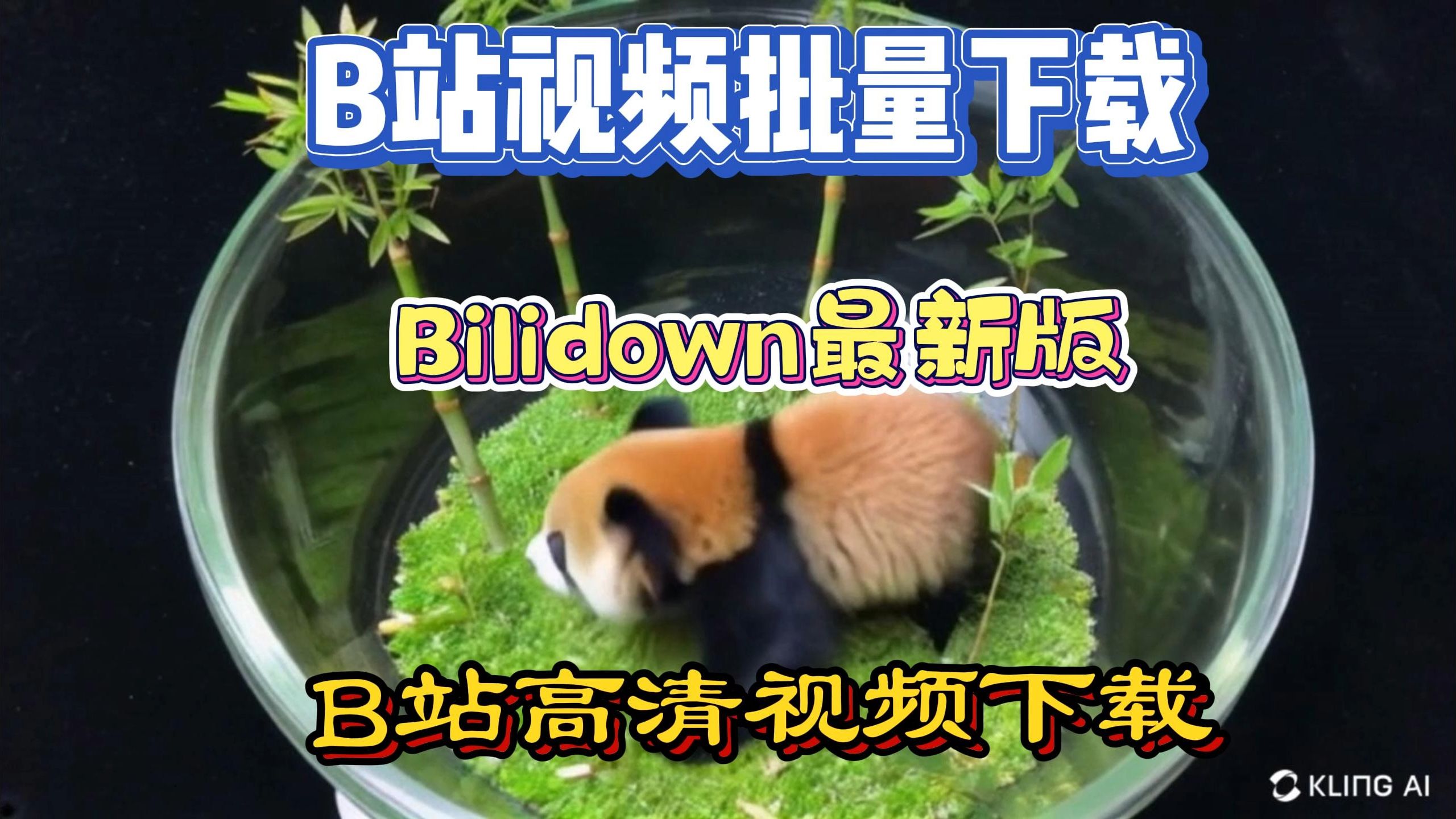 B站视频批量下载 Bilidown最新版 大会员可下载4K 8K视频哔哩哔哩bilibili