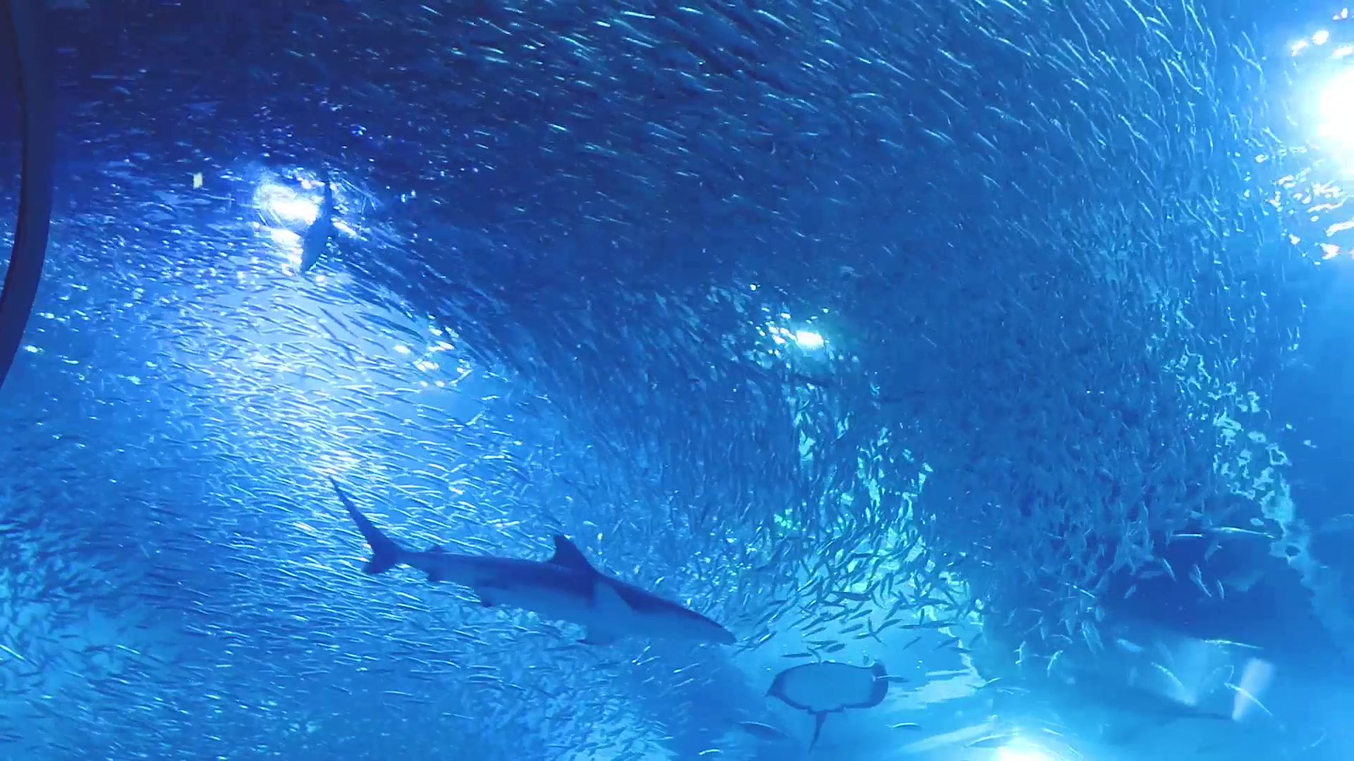 就这样沉入深海