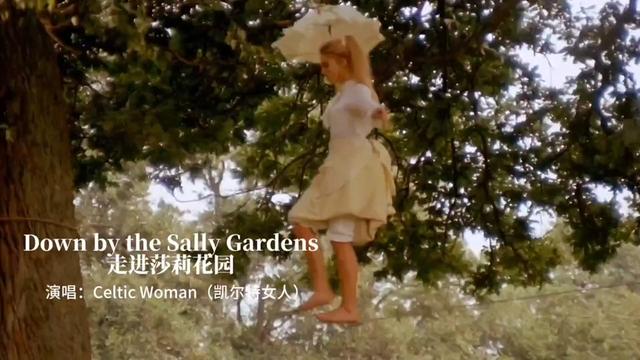 [图]欧美金曲《Down by the Sally Gardens》（中译：走进莎莉花园）天籁之音，悦耳动听 @聆听经典之声