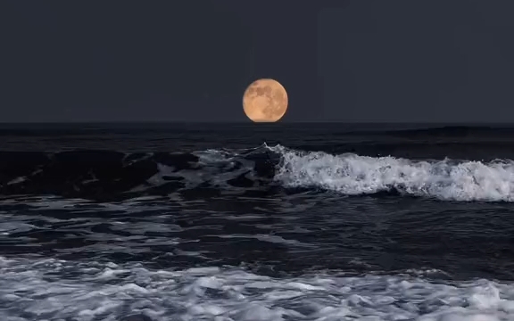 这就是"海上明月共潮生"吧!