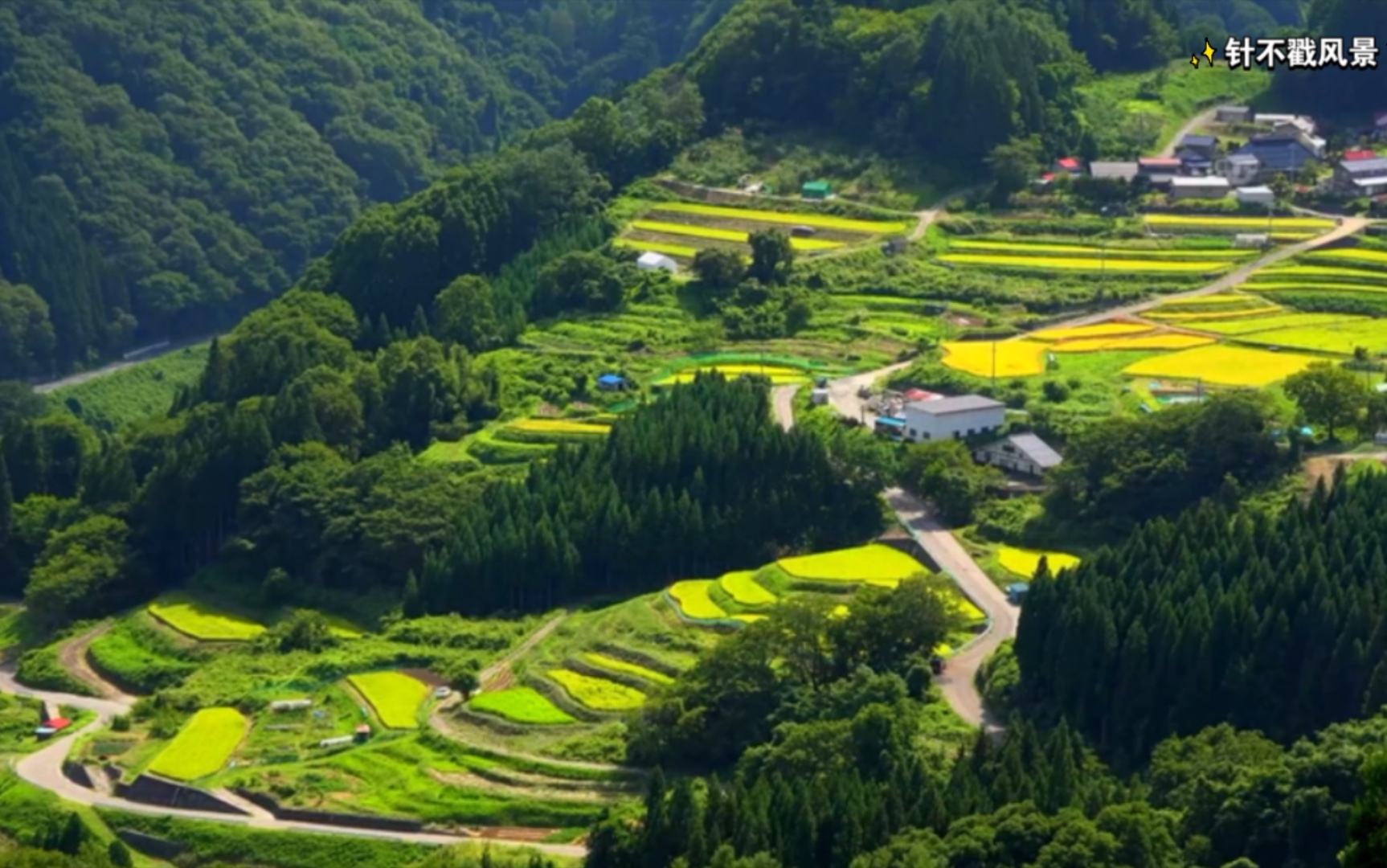 超清4k航拍中国风景5之山区水稻篇