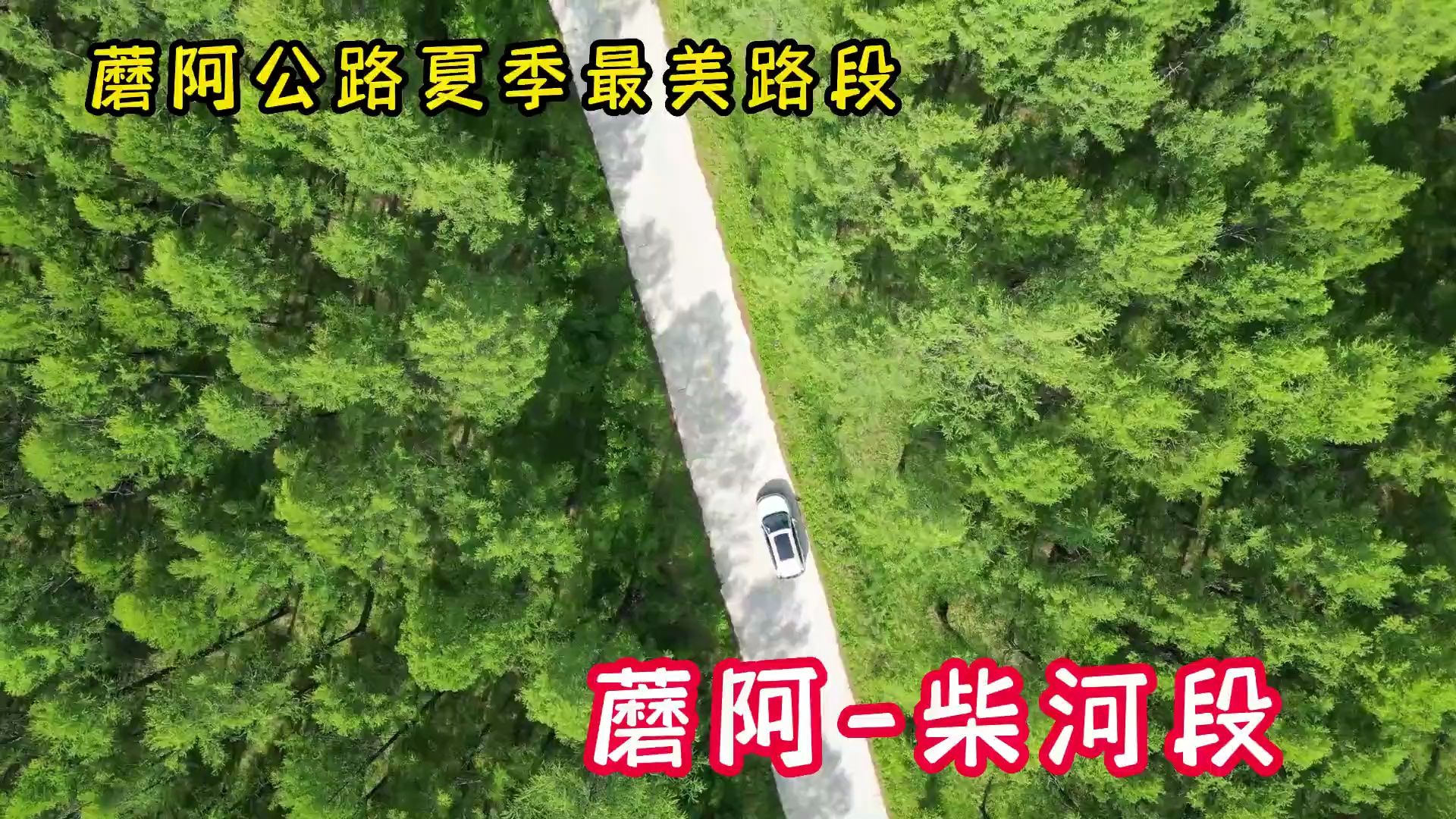 蘑阿公路,盛夏最美的一段,在柴河→阿尔山,原始森林,绿色净土哔哩哔哩bilibili