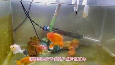 搜索 哔哩哔哩 つロ干杯 Bilibili