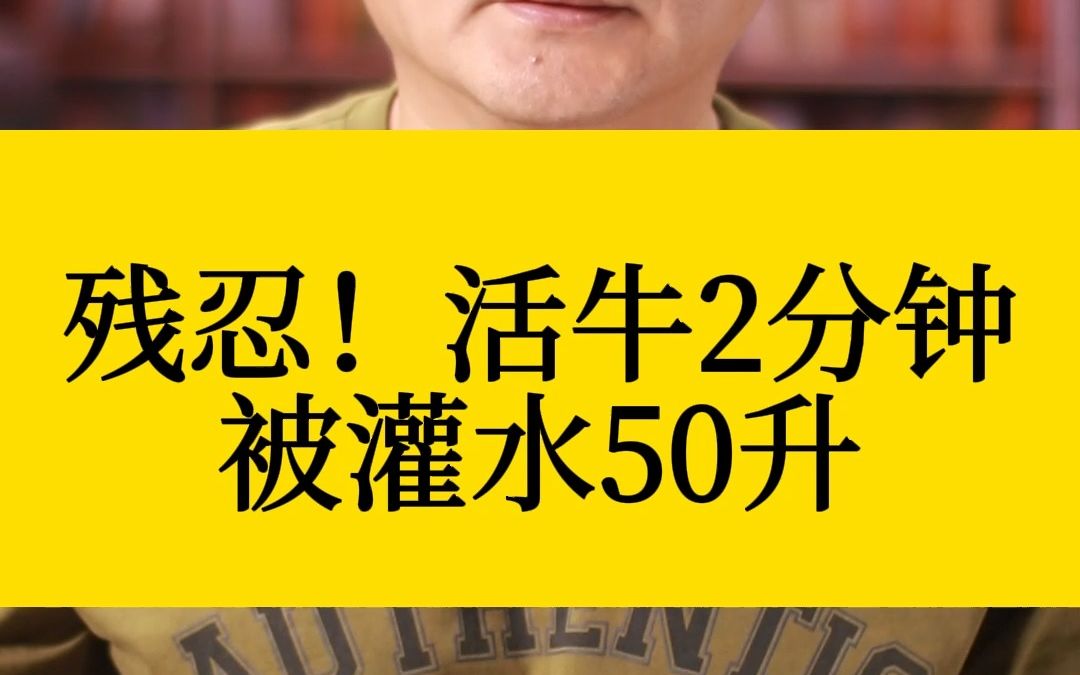 残忍!活牛2分钟被灌水50升哔哩哔哩bilibili