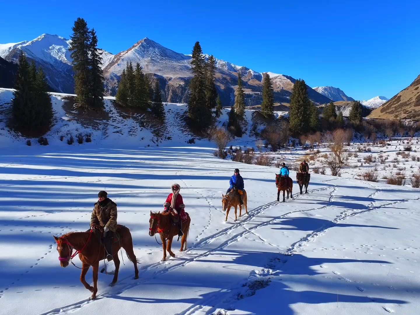 冬季伊犁雪骑骑行 08 新疆天山的秘密马背旅行