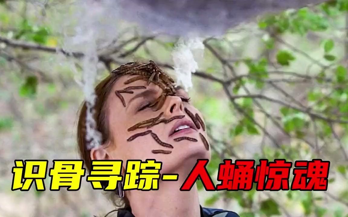电影:成精的大树上长出一张人脸,割开一看,竟然是具尸体