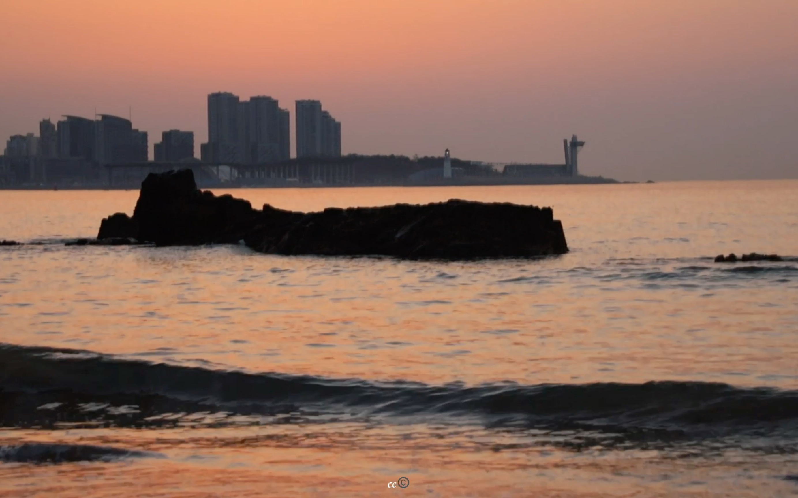 来青岛看海噜o(∩_∩)o