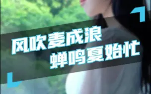 Télécharger la video: Smilan门窗故事｜风吹麦成浪，蝉鸣夏始忙