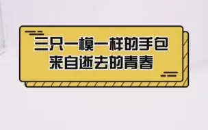 Скачать видео: 小姐姐说这三只从各地发来的手袋都是她的，起初以为她是骗子，后来我信了