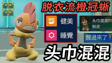橙冠蜥-哔哩哔哩_Bilibili