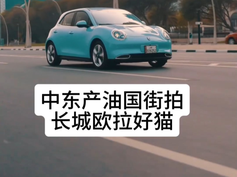 中东产油国街拍长城欧拉好猫