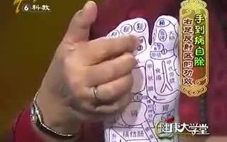 手到病自除 杨奕-手到病自除（视频·全19集）_哔哩哔哩_bilibili