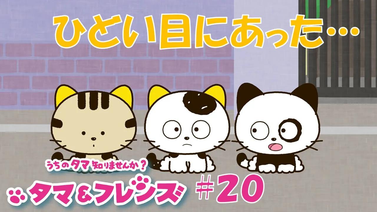 【生肉】tv动画《猫狗宠物街》第20话_哔哩哔哩 (゜-゜)つロ 干杯