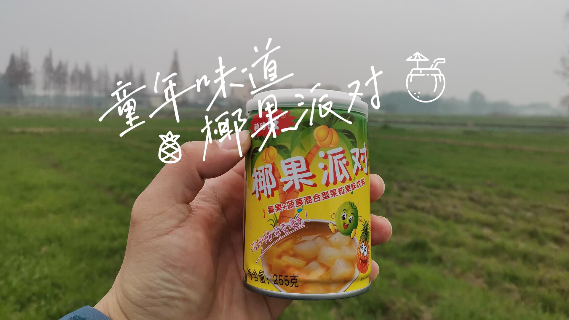 童年味道95椰果派对99