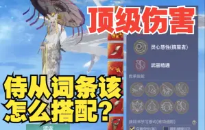 Descargar video: 【顶级伤害】的侍从词条该怎么搭配？【萌新必看】